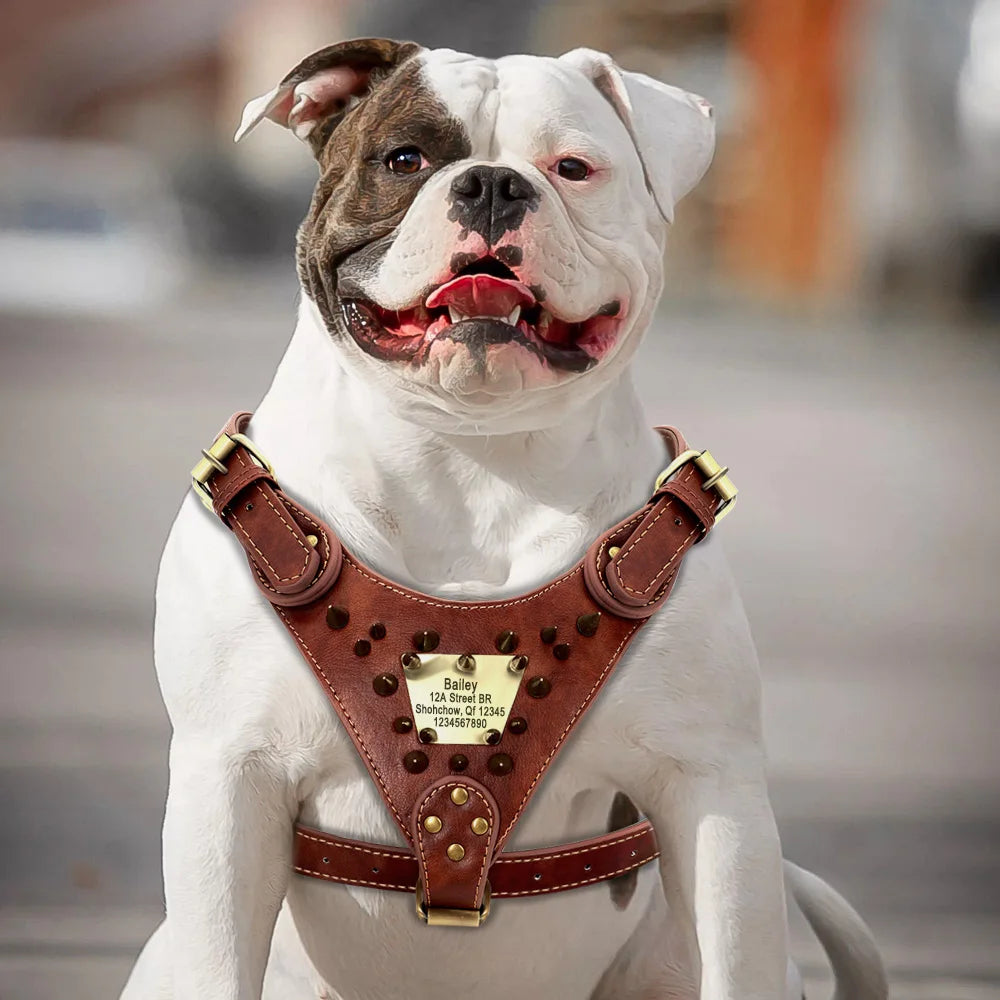 Custom Leather Dog Harness Spiked Studded Dog Harness Vest Personalized ID Leather Harness for Medium Large Dogs Pitbull Bulldog