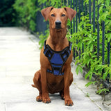 Dog Harness No Pull Breathable Reflective Dog Harness Vest with Handle For Small Large Dogs Outdoor walking Training Supplies