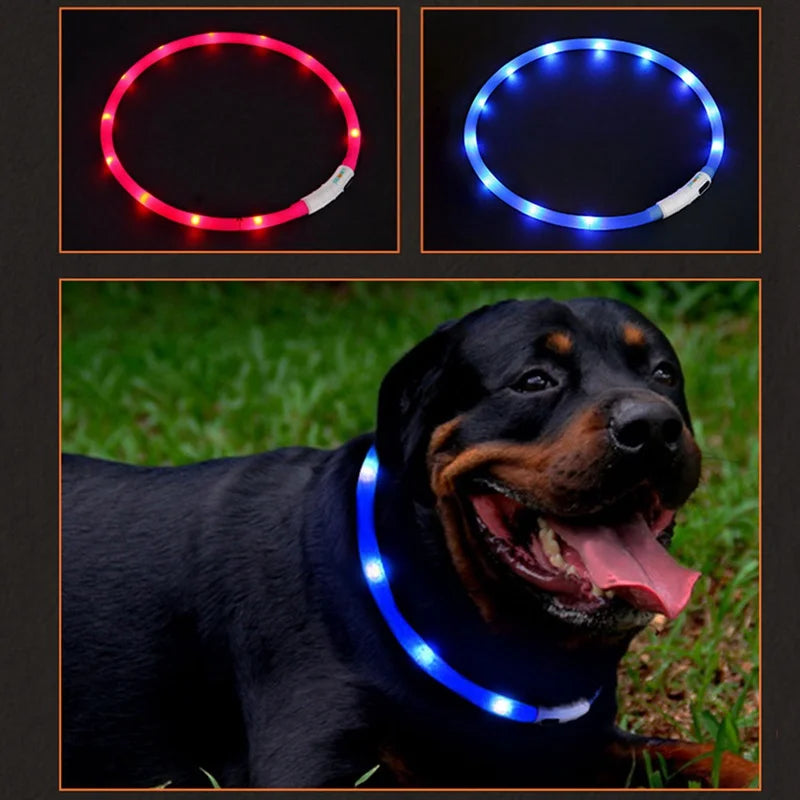 Pet Dogs Cats Luminous Collar USB Rechargeable Flashing Night Collars LED Dog Collar Glowing Teddy Flash Collar Loss Prevention