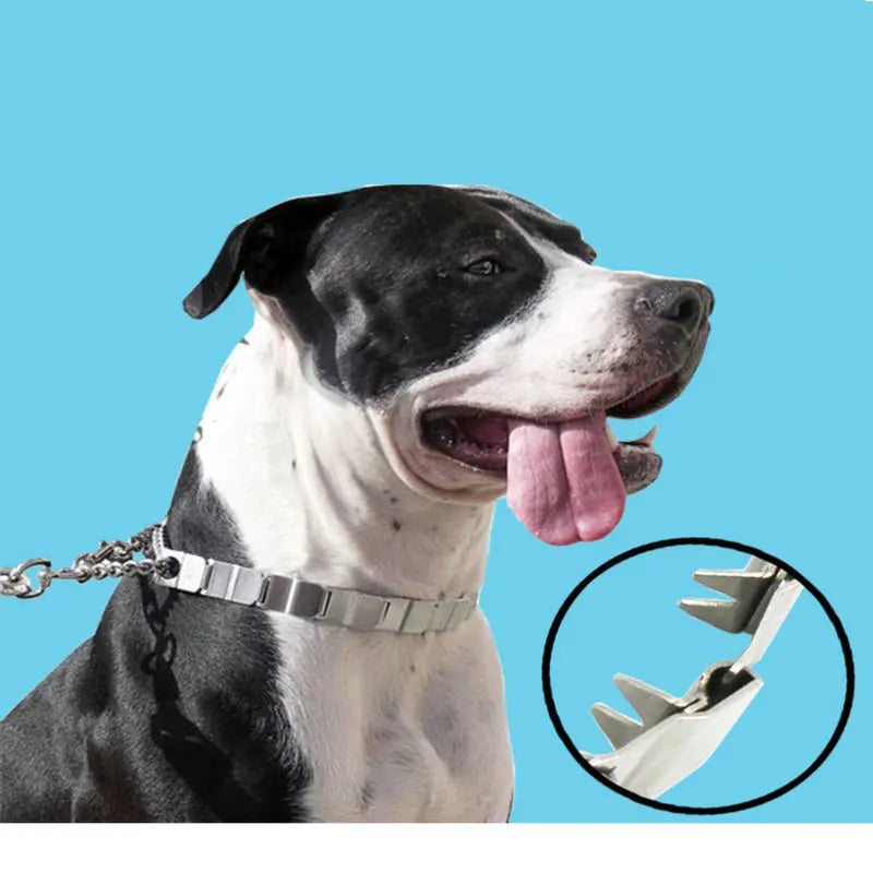 HQ DC01 Stainless Steel 38-68CM Adjustable Dog Training Chain Dog-Collar Choke Chain Pinch Collar For Giant dogs