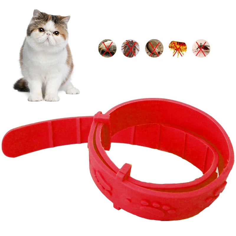 Pet Dog Cat Collar Anti Flea Mite Lice Insecticide Mosquito Outdoor Adjustable Pet Collar Long-term Protection Cat Accessories