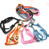 Bilayer Durable Adjustable Nylon Dog Leashes Pet Dog Collar Harness Set Cat Lead Leash Walking Vest Lead Train