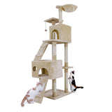 Domestic Delivery Big Cat Tree Tower Condo Furniture Scratch Post Cat Jumping Toy with Ladder for Kittens Pet House Play