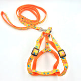 Bilayer Durable Adjustable Nylon Dog Leashes Pet Dog Collar Harness Set Cat Lead Leash Walking Vest Lead Train