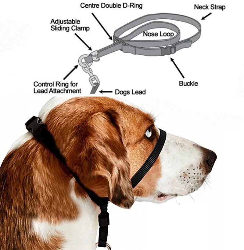 Adjustable Nylon Dog Pet Dog Padded Head Collar Gentle Halter Leash Leader Stop Pulling Training Muzzles Tools dog accessories