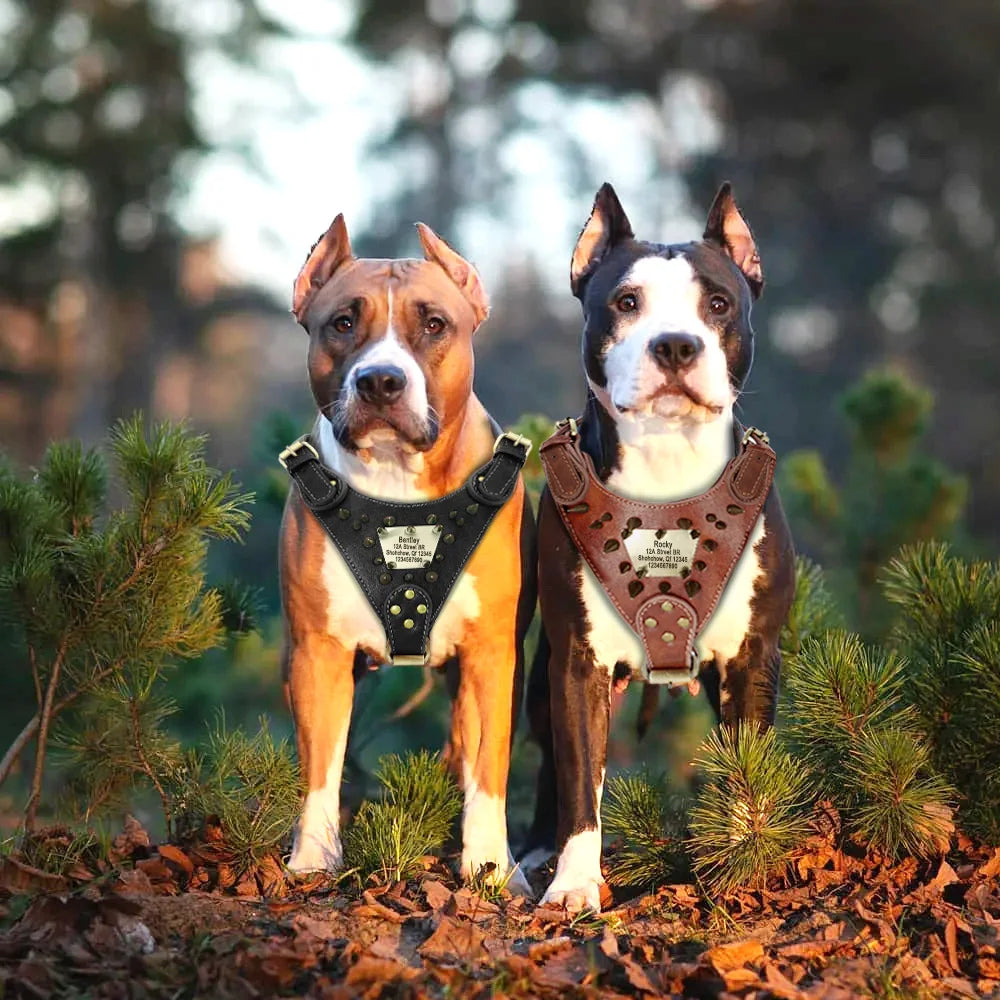 Custom Leather Dog Harness Spiked Studded Dog Harness Vest Personalized ID Leather Harness for Medium Large Dogs Pitbull Bulldog