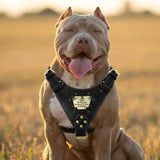 Custom Leather Dog Harness Spiked Studded Dog Harness Vest Personalized ID Leather Harness for Medium Large Dogs Pitbull Bulldog