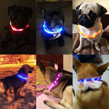 Pet Dogs Cats Luminous Collar USB Rechargeable Flashing Night Collars LED Dog Collar Glowing Teddy Flash Collar Loss Prevention