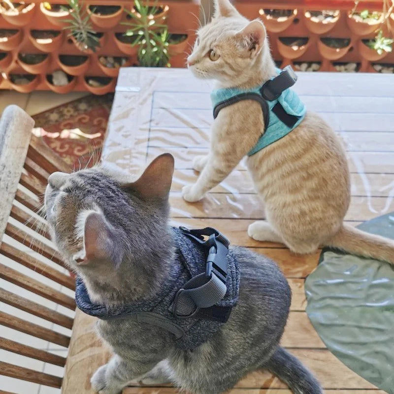 Adjustable Anti-Escape Small Cat Belt Kitten Harness Light Breathable Soft Pet Vest Wiring Harness Traction Belt Kitten Walking