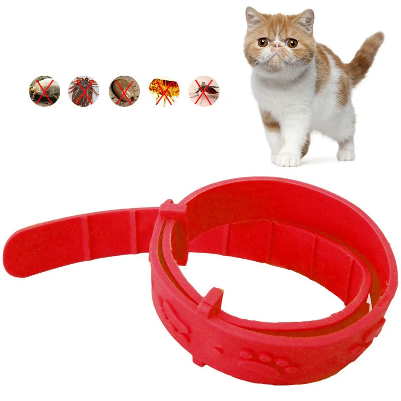 Pet Cat Collar Effective Anti Flea Mosquito Insecticide Outdoor Adjustable Pet Collar Cat Dog Long-term Protection Accessories