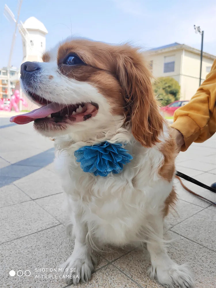 50/100pcs Dog Bowtie Dogs Pets Flower Bow Tie Neckties For Dog Pet Grooming Accessories Small Dog Cat Grooming Products