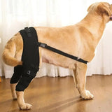 Dog Leg Support Brace Knee Hip Joint Protect Wounds Prevent Injuries Canine Aid And Ligament Rehabilitation For Pets Accessories