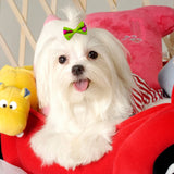 10/20/30PCS Pet Hair Accessories Bows Puppy  Grooming Bows Mix Colours Decorate Hair for Small Dog Hair Rubber Band Dog Supplier