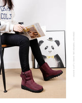 Waterproof Winter Boots for Women 2023 New Faux Fur Long Plush Snow Boots Woman Platform Shoes Warm Cotton Couples Ankle Boots