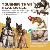 Large Dog Chew Toy Tougher than Real Bones Toy Solve Boredom Teeth Cleaning Separation Anxiety Crate Taining Sturdy Pet Supplies