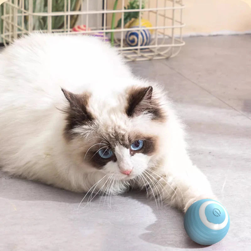 Electric Cat Toys Ball Automatic Rolling Smart Cat Toys Interactive for Cats Training Interactive with USB pet Accessories