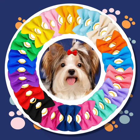 10/20/30PCS Pet Hair Accessories Bows Puppy  Grooming Bows Mix Colours Decorate Hair for Small Dog Hair Rubber Band Dog Supplier