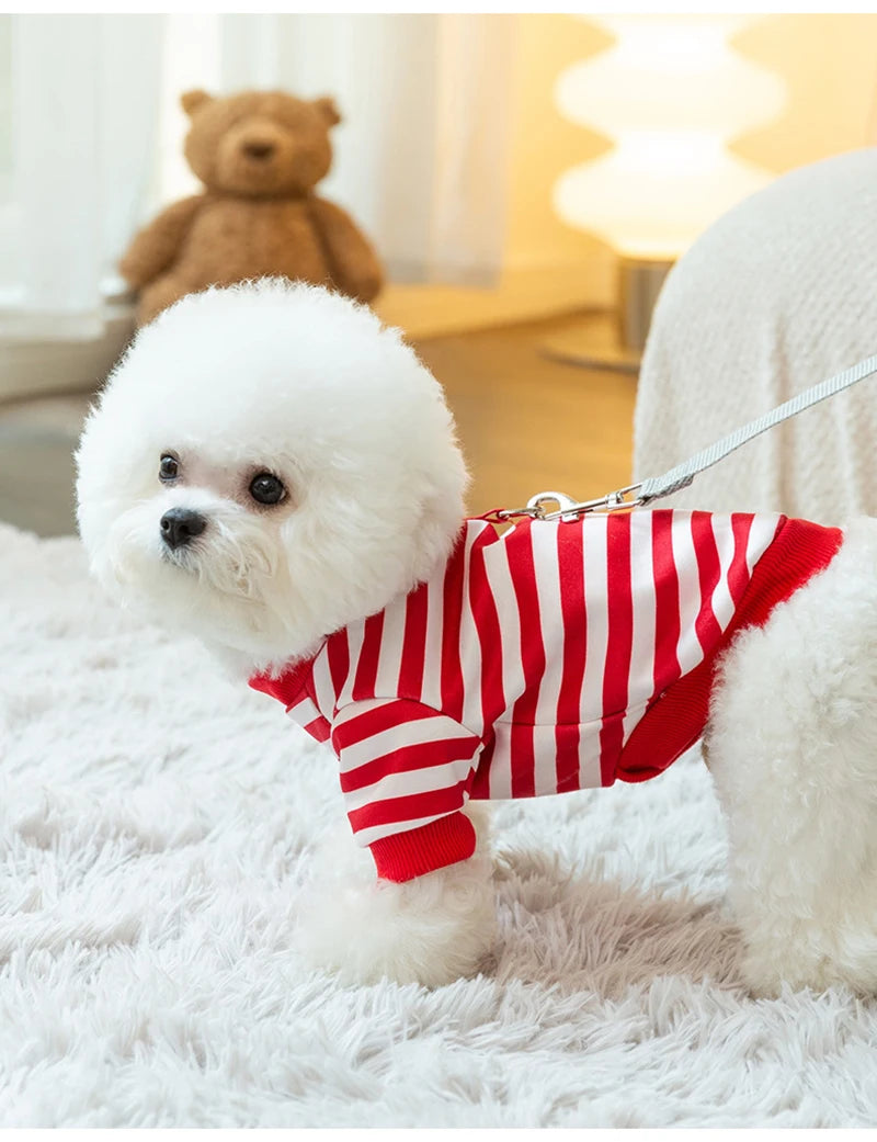 Winter Dog Clothes for Small Dogs Pet Stripe Cotton Sweatshirt Warm Puppy Hoodie with D-ring Cold Weather Coat Cat Clothing