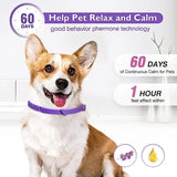 New Release Cat Dog Calming Collar Pets Relieve Anxiety Protection Retractable Collars For Puppy Kitten Large Dogs Accessories