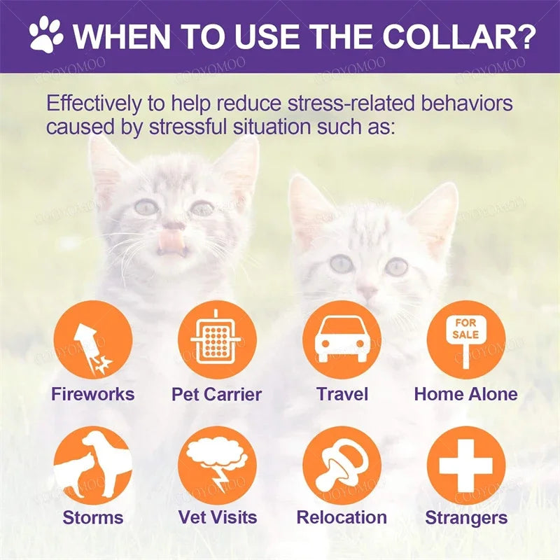 New Release Cat Dog Calming Collar Pets Relieve Anxiety Protection Retractable Collars For Puppy Kitten Large Dogs Accessories