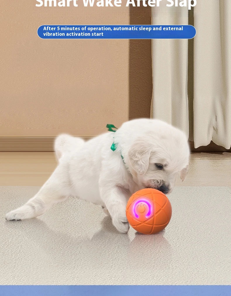 New Smart Dog Toy Ball Electronic Interactive Pet Toy Moving Ball USB Automatic Companion Toy Jumping Ball for Puppy Birthday Gi