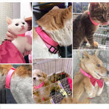 Pet Dog Cat Collar Anti Flea Mite Lice Insecticide Mosquito Outdoor Adjustable Pet Collar Cat Accessories Long-term Protection