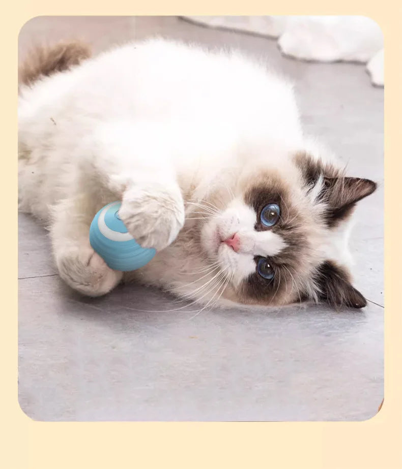 Electric Cat Toys Ball Automatic Rolling Smart Cat Toys Interactive for Cats Training Interactive with USB pet Accessories