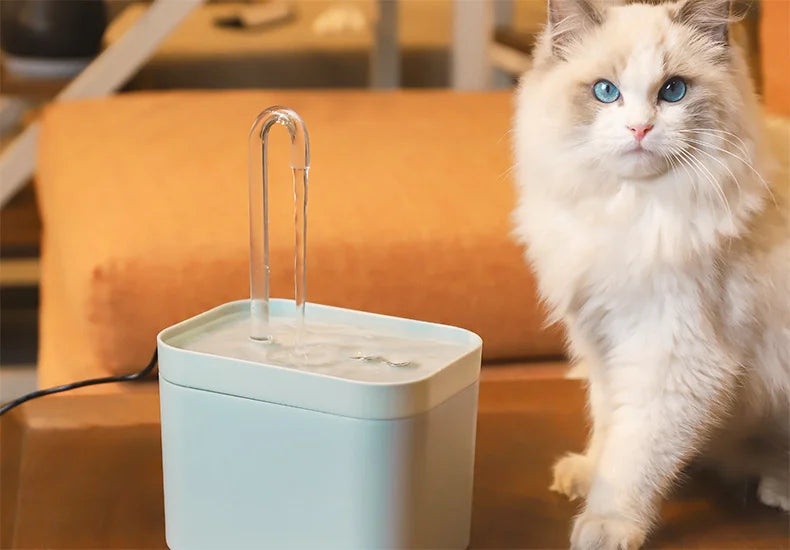 Ultra-Quiet Pet Water Fountain Auto Filter USB Electric Cat Dog Water Dispenser&Burnout Prevention Pump 1.5L Recirculate Filtrin