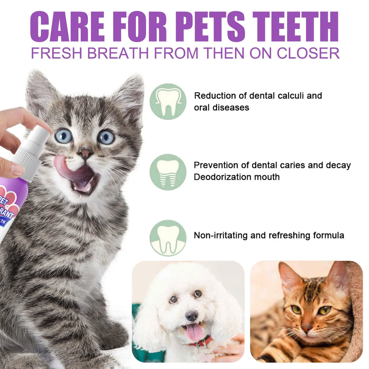 60ml Pet Oral Cleanse Spray Prevent Calculus Remove Kitten Bad Breath Pet Supplies Dogs Cats Teeth Clean Deodorant Spray