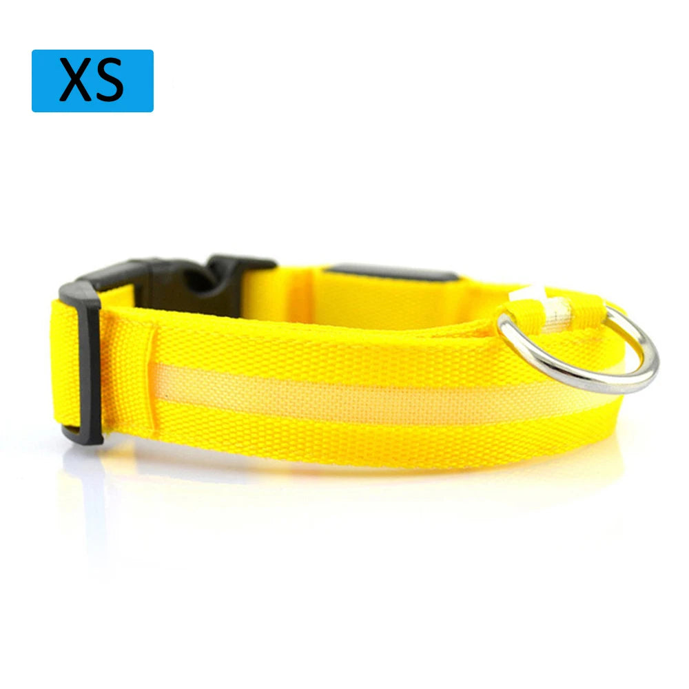 Safety Led Dog Collar Luminous Usb Cat Dog Collar Small Bright Labrador Pets Adjustable Dog Loss Prevention Puppy Accessories