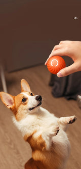 Smart Automatic Rolling Jumping Ball Toy Durable Dog Chew Toys Pet Grinding Teeth squeak Balls For Dog Interactive Supplies