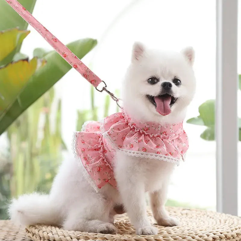 Dog Cat Harness Leash Set Adjustable Lace Floral Printed Pet Harness Vest Cute Dog Clothes Puppy Mesh Harness Dog Accessories