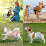 Male Dog Shorts Prevent Bed Wetting Physiological Pants Pet Underwear Reusable Sanitary Panties Adjustable Diapers for Dog Puppy