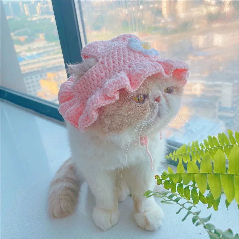 Autumn Winter Cat Hat Elastic Cute Refined Pet Hat Puppy Kittens Knitted Hat Party Photo Shoot Props Decoration Cat Accessories