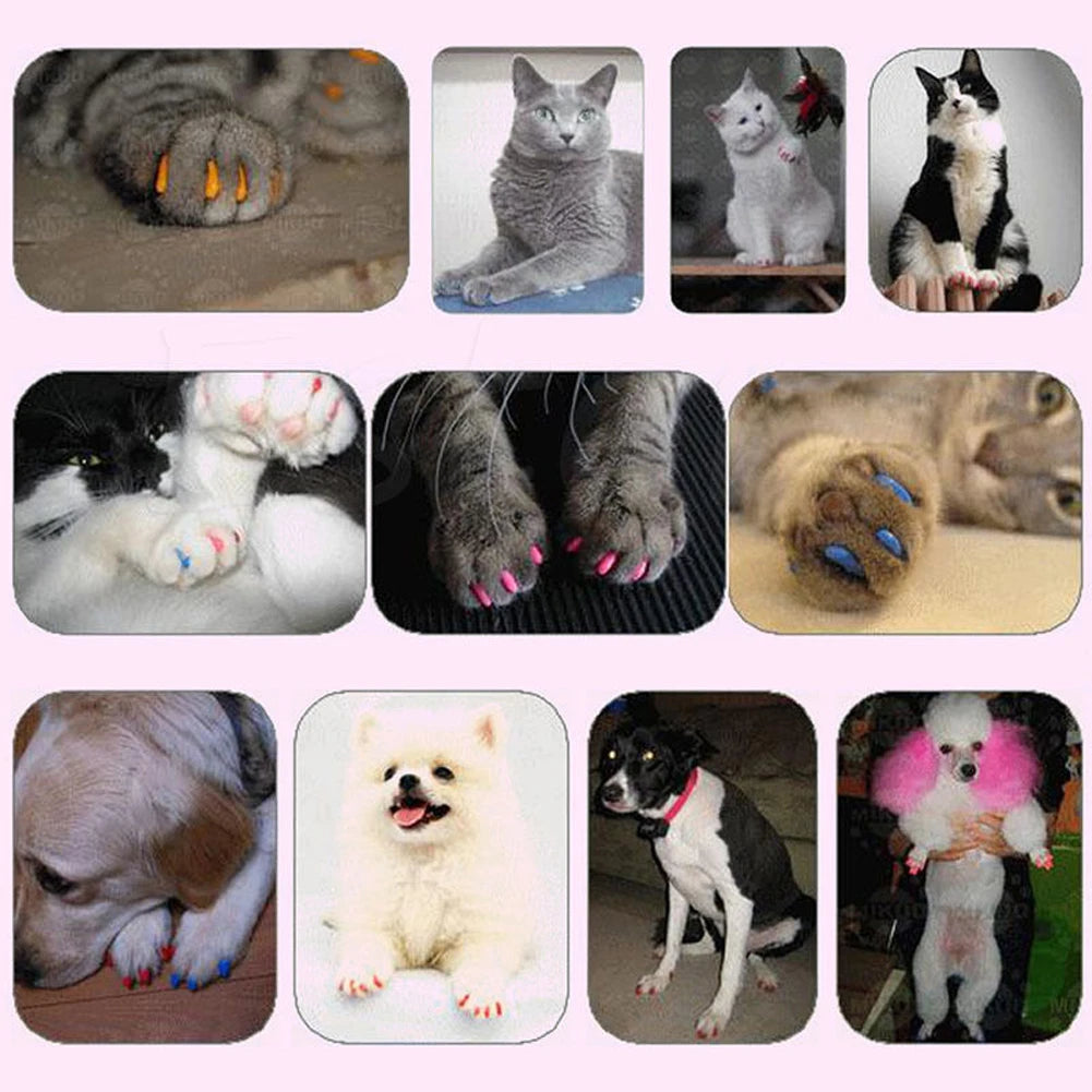 20pcs Silicone Soft Cat Nail Cap Cat Paw Claw Pet Nail Protector Cat Nail Cover Pet Nail Protector Kitten Cat Pet Products