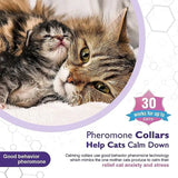 New Release Cat Dog Calming Collar Pets Relieve Anxiety Protection Retractable Collars For Puppy Kitten Large Dogs Accessories