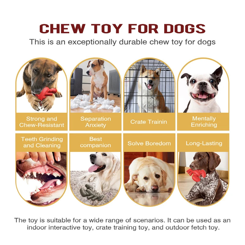 Large Dog Chew Toy Tougher than Real Bones Toy Solve Boredom Teeth Cleaning Separation Anxiety Crate Taining Sturdy Pet Supplies