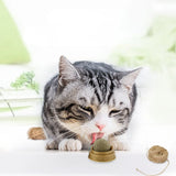 Natural Ball Removal Cats Catnip Cat Toy Cat Grass Treats to Improve Digestion Wall Sticker Scratch Itchy Treat Healthy Supplies