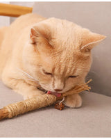 Cat Toys Silvervine Chew Stick,Kitten Treat Catnip Toy Kitty Natural Stuff with Catnip for Cleaning Teeth Indoor Dental