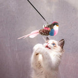 Replacement Head For Funny Cat Stick Toy Various Kinds Cats Rod Feather Birds Teaser Toy For Kitten Pet Supplies