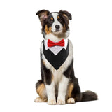 Formal Pet British Wedding Party Suit Scarf Bow Tie Collar Dog Triangle Towel Saliva Towel Pet Clothes Decoration Accessories