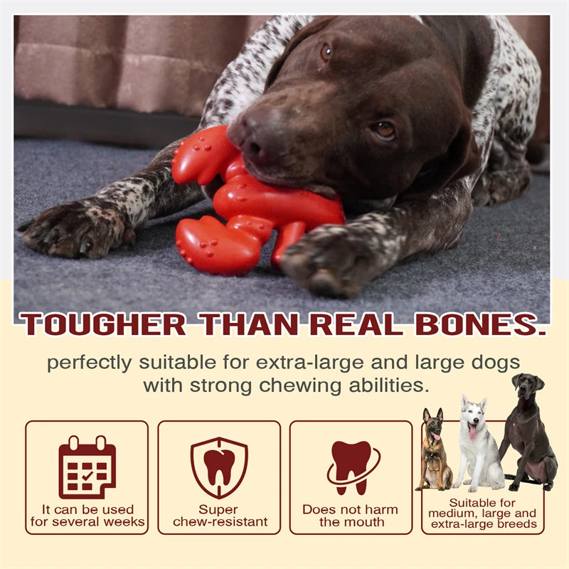 Large Dog Chew Toy Tougher than Real Bones Toy Solve Boredom Teeth Cleaning Separation Anxiety Crate Taining Sturdy Pet Supplies