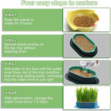 Colorful Pet Cat Sprout Dish Growing Pot Hydroponic Plant Cat Pot Grass Box Germination Nursery Starter Dish Greenhouse Grow Box