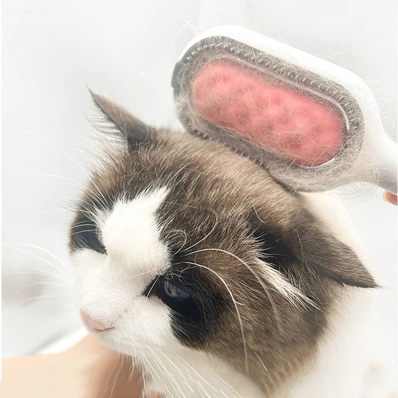 Double Sided Hair Removal Brushes for Cat Dog Pet Grooming Comb with Wipes Kitten Brush Cat Accessories Pet Products