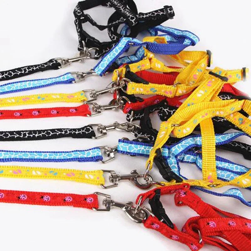 Bilayer Durable Adjustable Nylon Dog Leashes Pet Dog Collar Harness Set Cat Lead Leash Walking Vest Lead Train