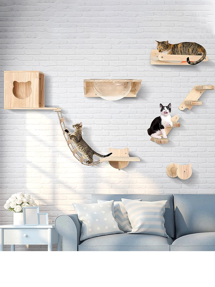 Wall Mounted Cat Space Capsule Bed Wooden Climbing Floating Shelf Transparnt Kitten  House for Sleeping Resting Wall Furniture