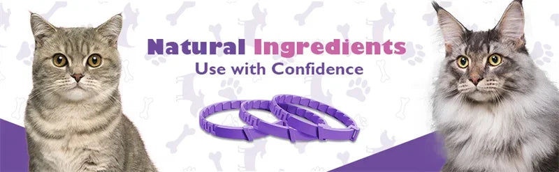 New Release Cat Dog Calming Collar Pets Relieve Anxiety Protection Retractable Collars For Puppy Kitten Large Dogs Accessories