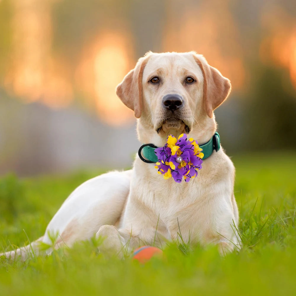 50/100pcs Big Flower-Collar Dog Flower Collar Remove Dog Bowtie Collar Accessories Pets Bow Ties Collar For Small-Large Dogs