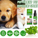 Pet Dog Flea Killer Vitro Spray Long-Lasting Control Repel Fleas Ticks Lice Insect Remover For Cats Dogs 60ML artículos para ma