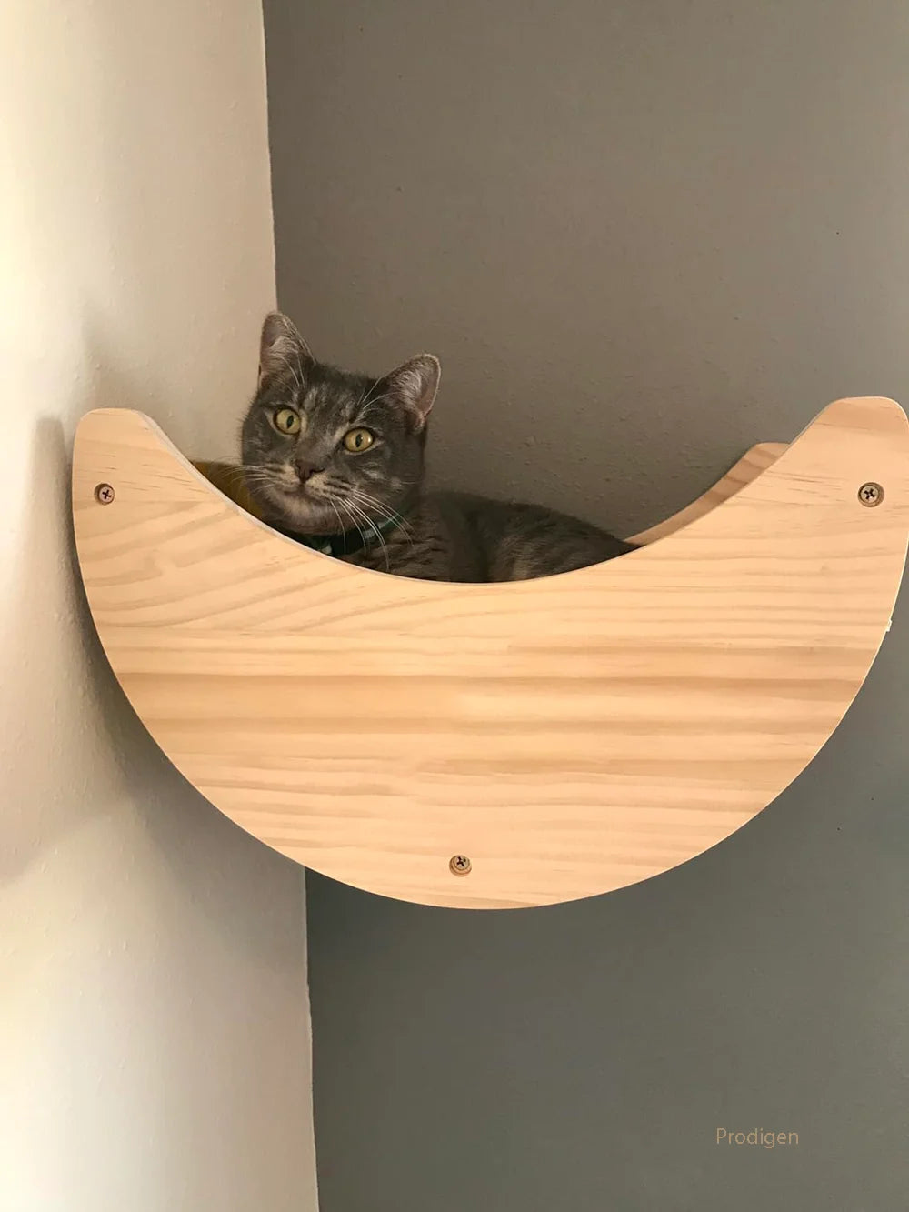 Cat Scratch Wall Furniture Mounted Hammock For Large Cats Or Kitty Wooden Climbing Tree Perches Beds Sisal Step Stairway Set